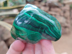Polished Flower Banded Malachite Free Forms x 4 From Congo - Toprock Gemstones and Minerals 