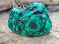 Polished Flower Banded Malachite Free Forms x 4 From Congo - Toprock Gemstones and Minerals 