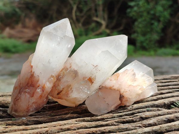 Natural Pineapple Candle Quartz Crystals x 12 From Antsirabe, Madagascar