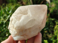 Natural Pineapple Candle Quartz Crystals x 12 From Antsirabe, Madagascar