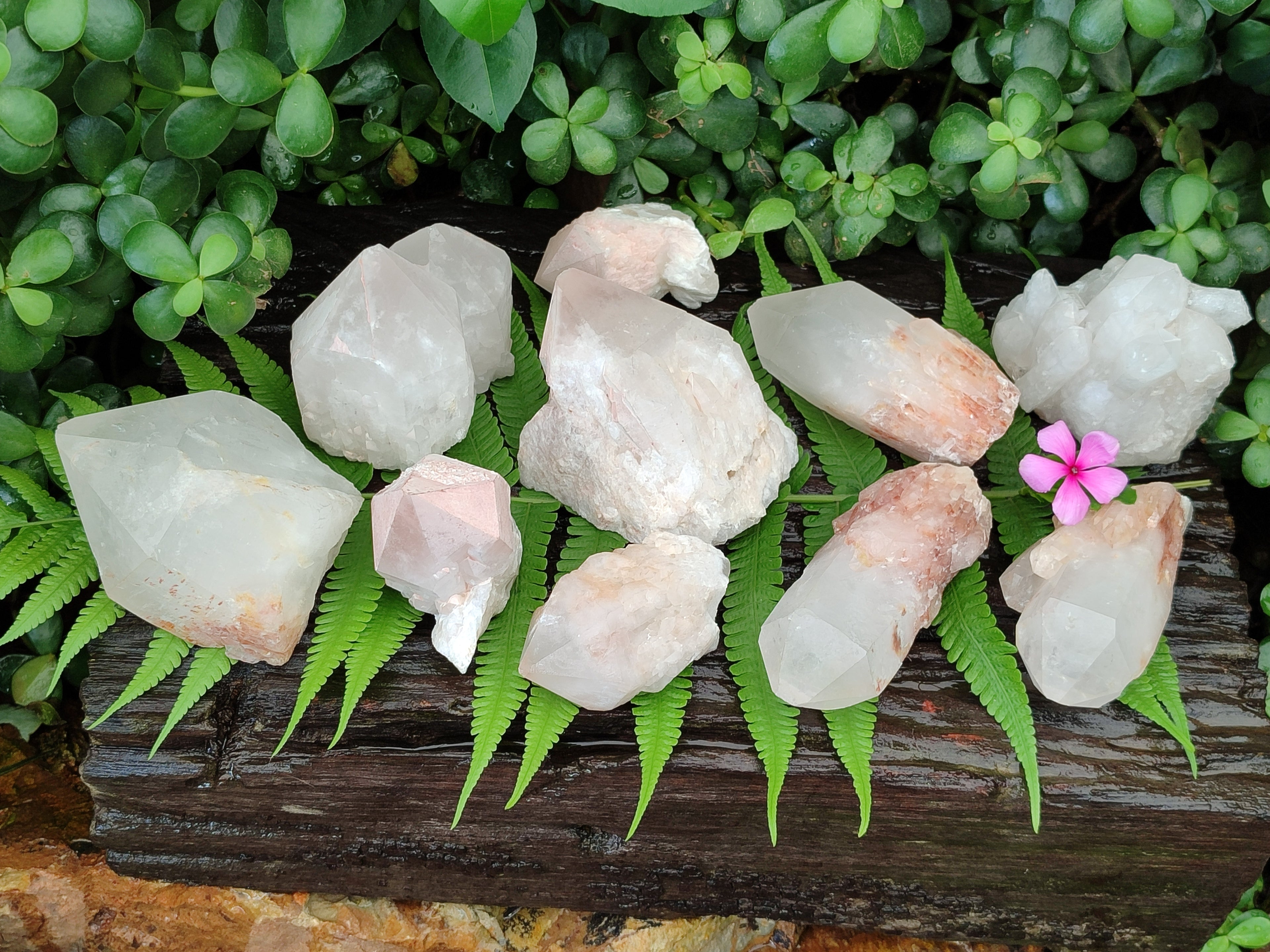 Natural Pineapple Candle Quartz Crystals x 12 From Antsirabe, Madagascar - Toprock Gemstones and Minerals 