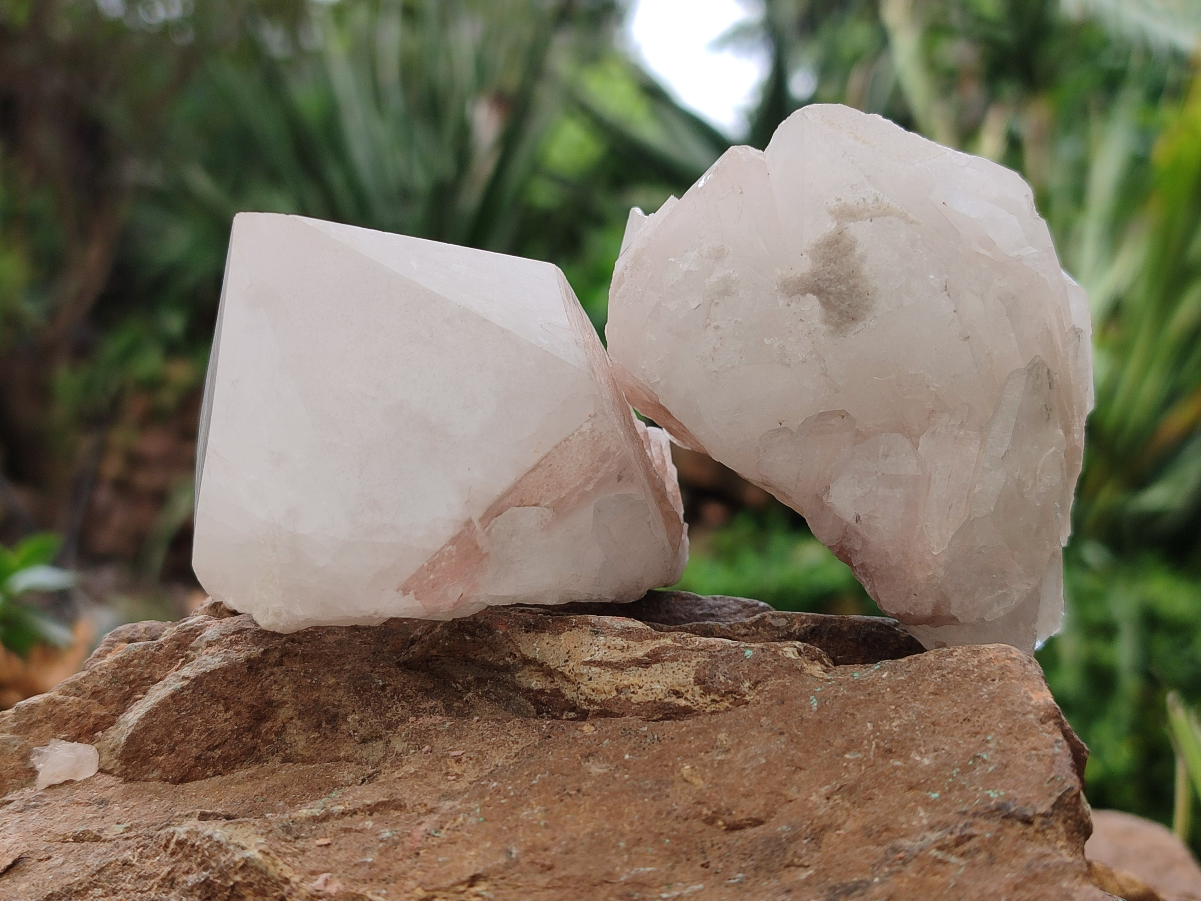 Natural Pineapple Candle Quartz Crystals x 12 From Antsirabe, Madagascar - Toprock Gemstones and Minerals 