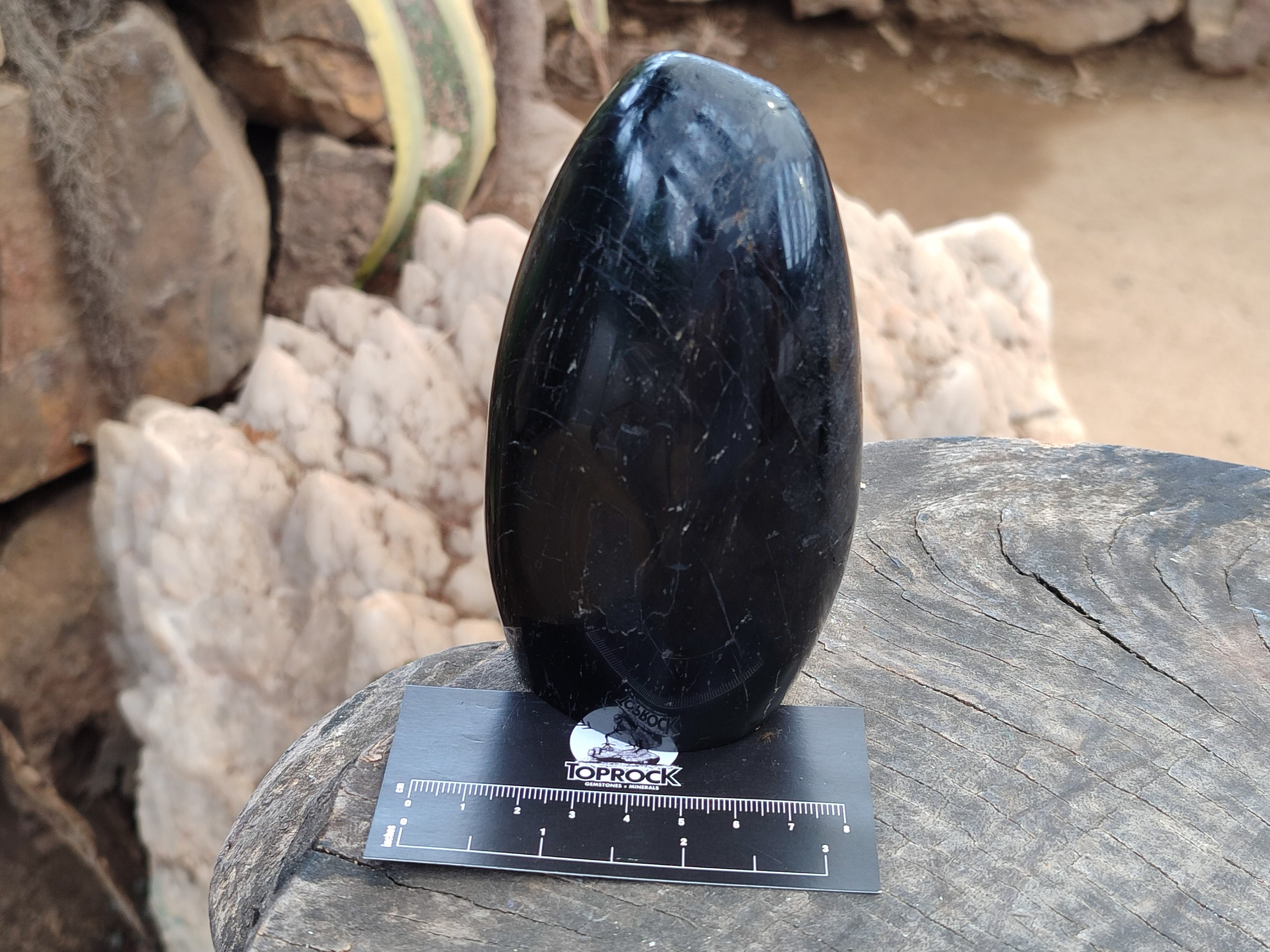 Polished Black Tourmaline Standing Free Form x 2 From Madagascar - Toprock Gemstones and Minerals 