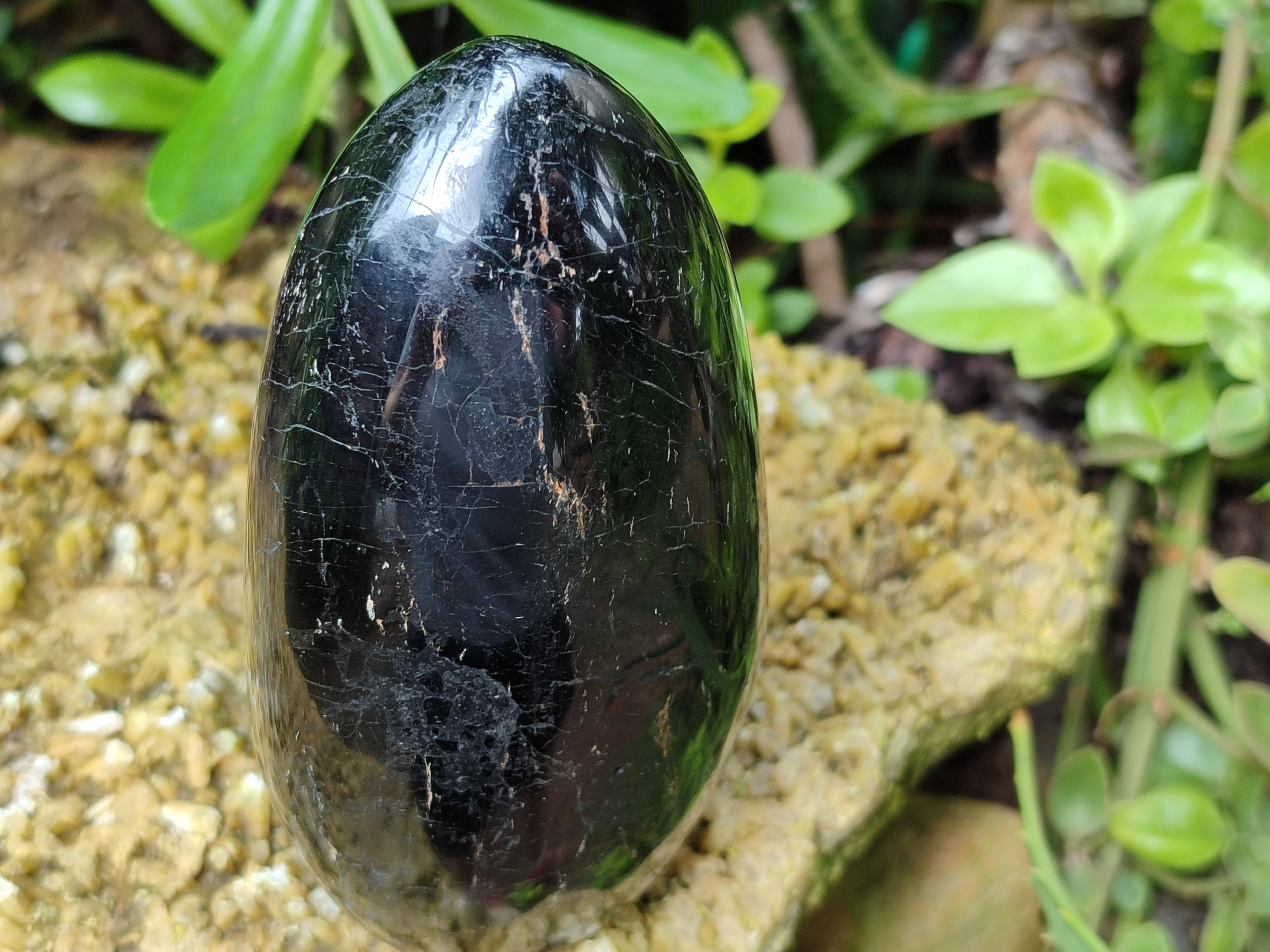 Polished Black Tourmaline Standing Free Form x 2 From Madagascar - Toprock Gemstones and Minerals 