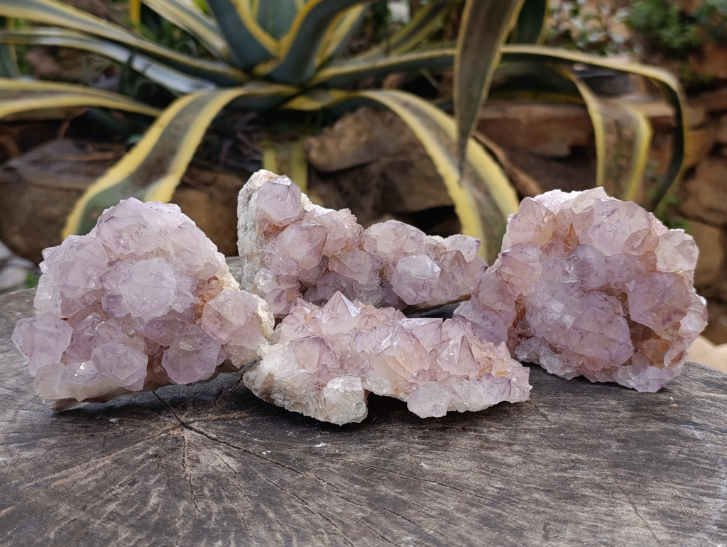 Natural Dark Amethyst Spirit Quartz Clusters x 4 From Boekenhouthoek, South Africa - Toprock Gemstones and Minerals 
