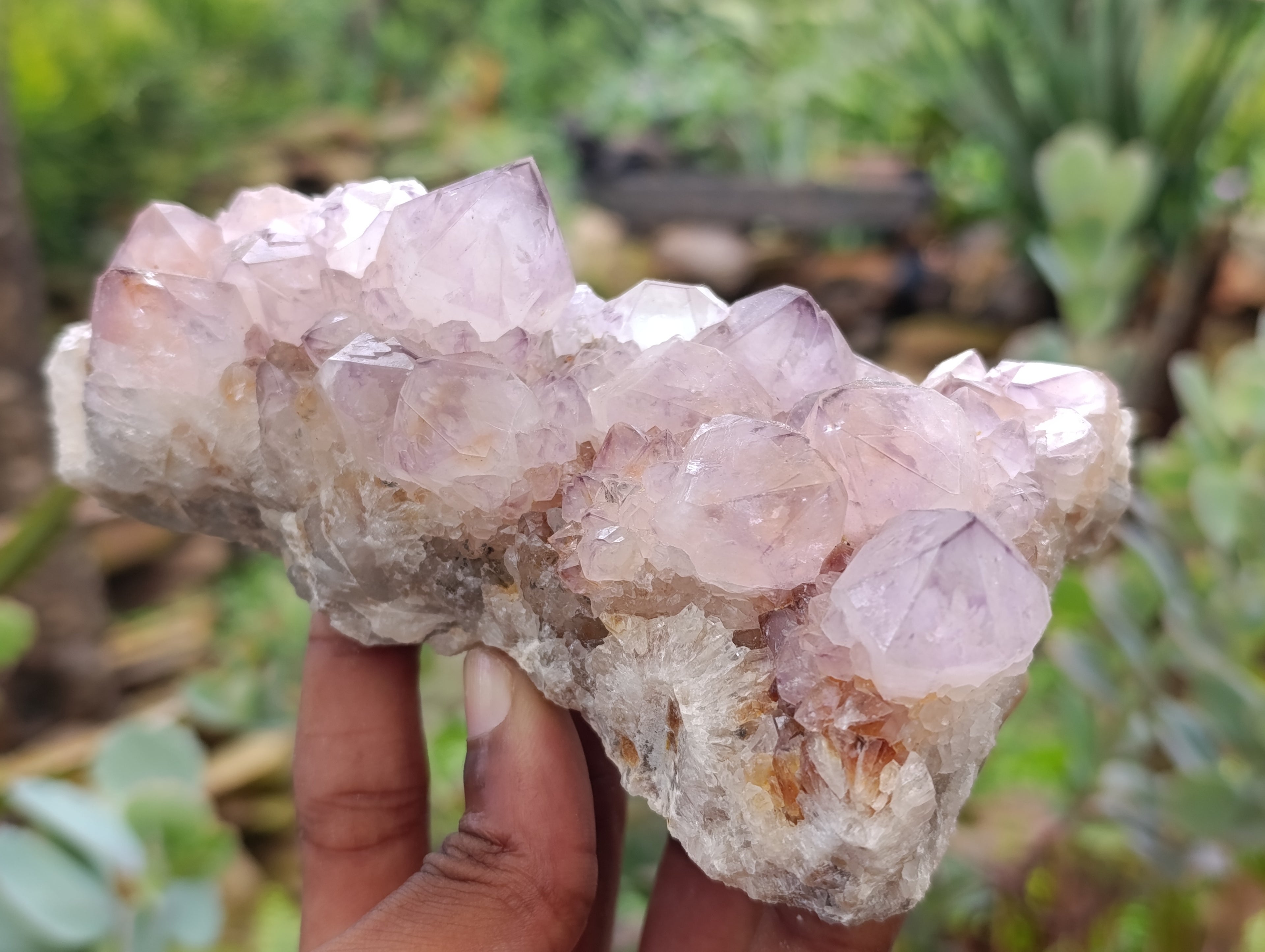 Natural Dark Amethyst Spirit Quartz Clusters x 4 From Boekenhouthoek, South Africa - Toprock Gemstones and Minerals 