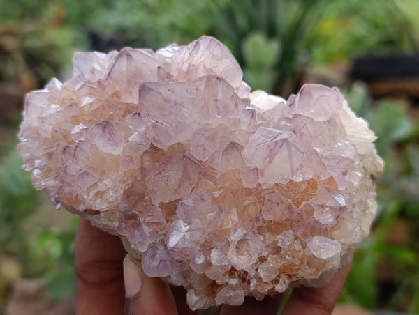 Natural Dark Amethyst Spirit Quartz Clusters x 4 From Boekenhouthoek, South Africa