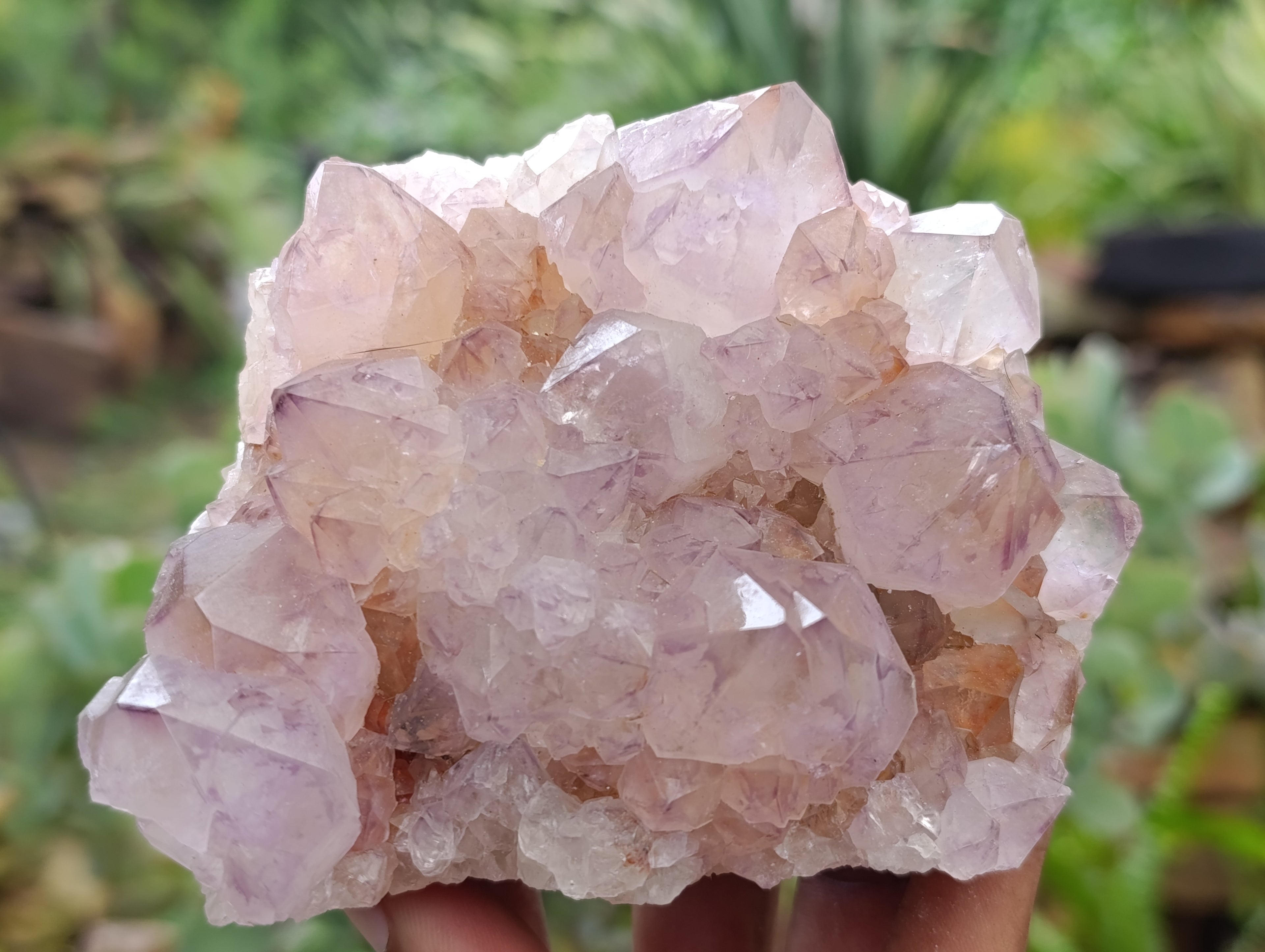 Natural Dark Amethyst Spirit Quartz Clusters x 4 From Boekenhouthoek, South Africa - Toprock Gemstones and Minerals 