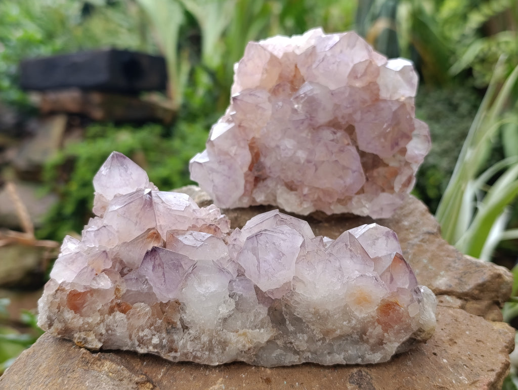 Natural Dark Amethyst Spirit Quartz Clusters x 4 From Boekenhouthoek, South Africa - Toprock Gemstones and Minerals 