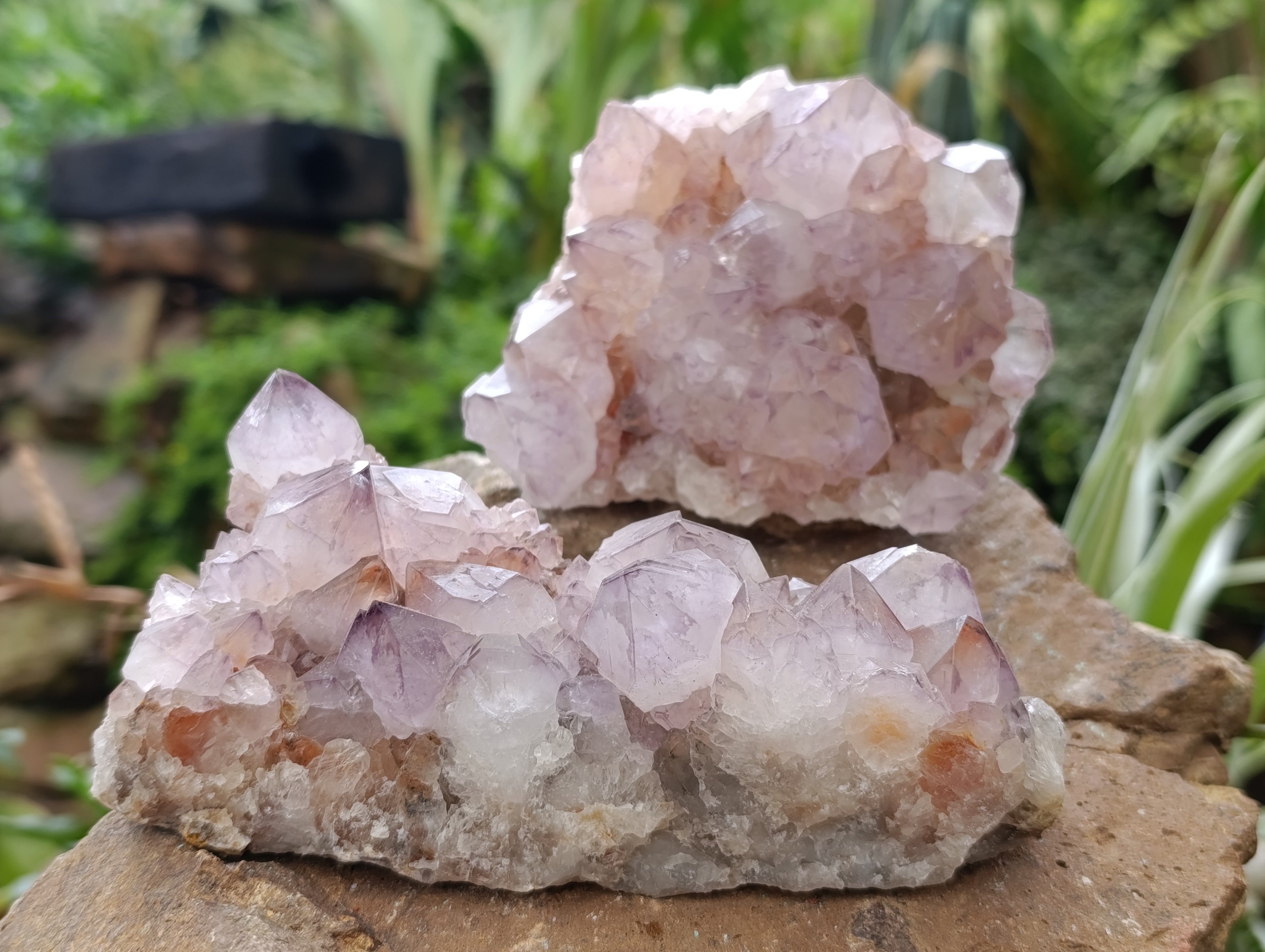 Natural Dark Amethyst Spirit Quartz Clusters x 4 From Boekenhouthoek, South Africa - Toprock Gemstones and Minerals 