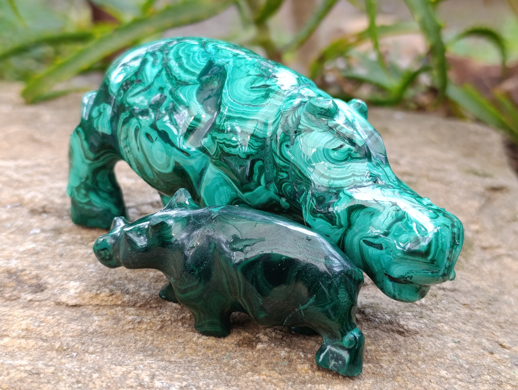 Hand Made Flower Banded Malachite Hippo Carvings x 2 From Congo - Toprock Gemstones and Minerals 