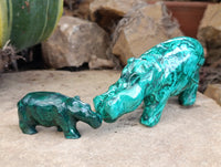 Hand Made Flower Banded Malachite Hippo Carvings x 2 From Congo