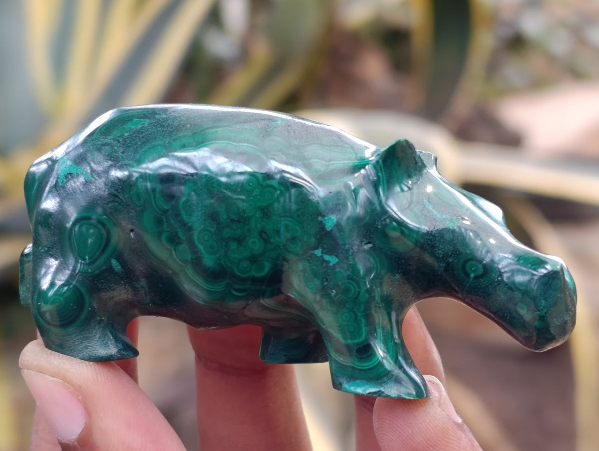 Hand Made Flower Banded Malachite Hippo Carvings x 2 From Congo - Toprock Gemstones and Minerals 