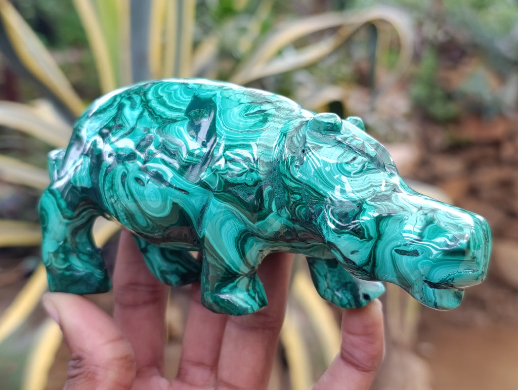 Hand Made Flower Banded Malachite Hippo Carvings x 2 From Congo - Toprock Gemstones and Minerals 