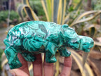 Hand Made Flower Banded Malachite Hippo Carvings x 2 From Congo - Toprock Gemstones and Minerals 