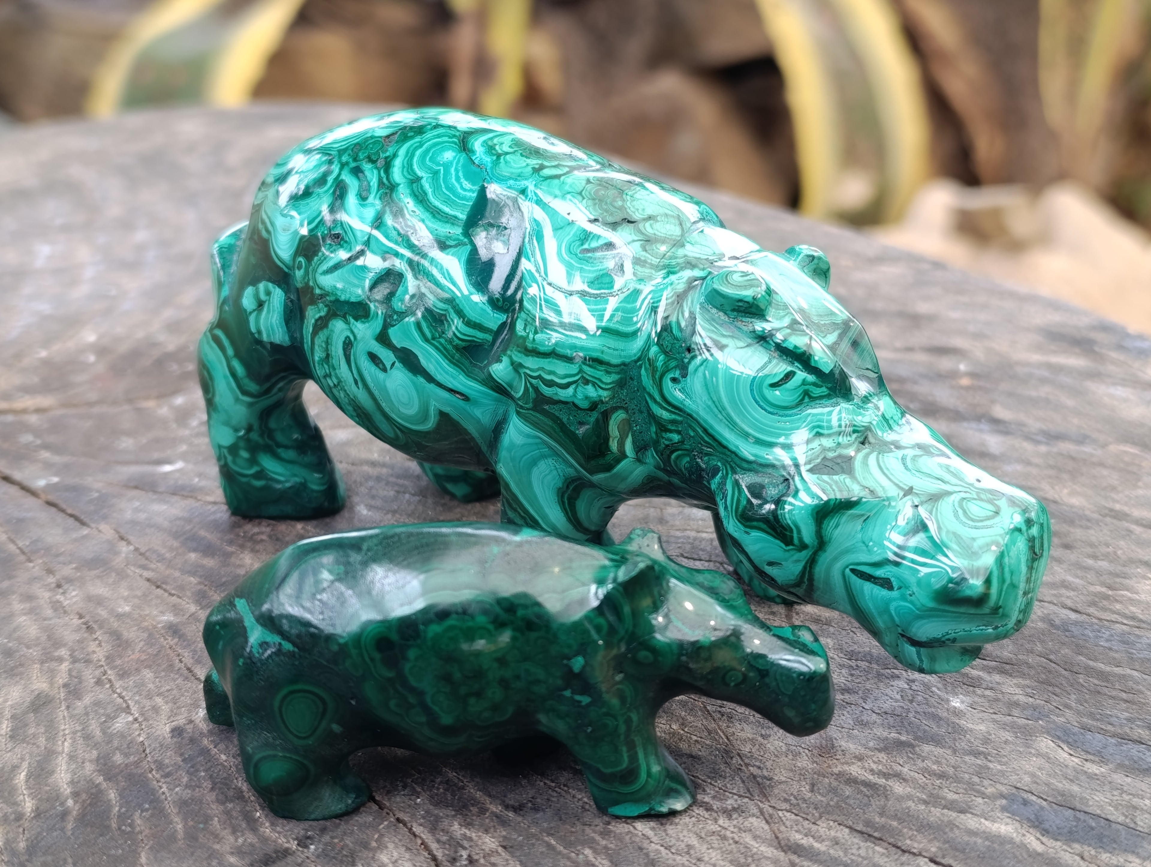 Hand Made Flower Banded Malachite Hippo Carvings x 2 From Congo - Toprock Gemstones and Minerals 