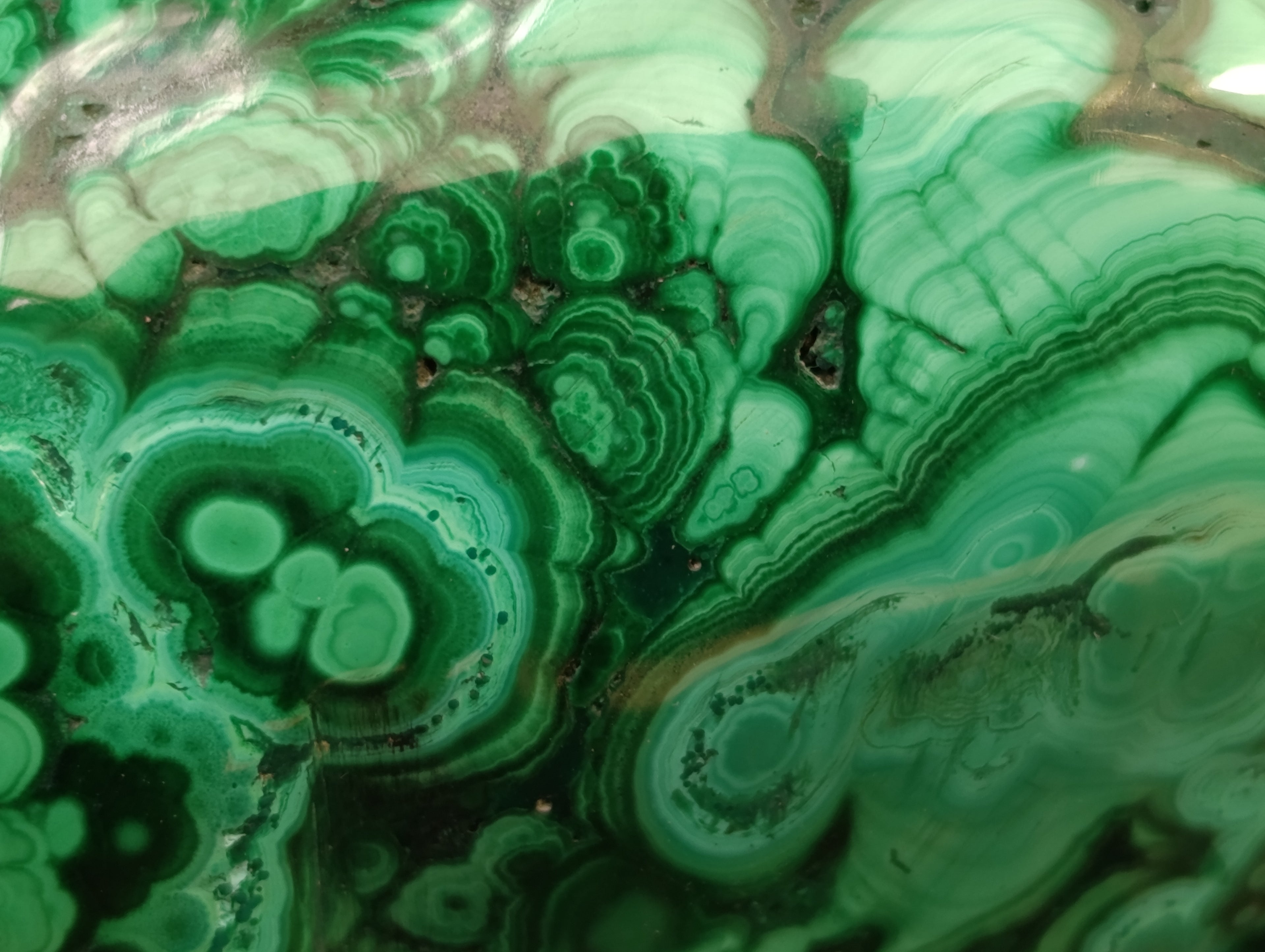 Hand Made Flower Banded Malachite Hippo Carvings x 2 From Congo - Toprock Gemstones and Minerals 