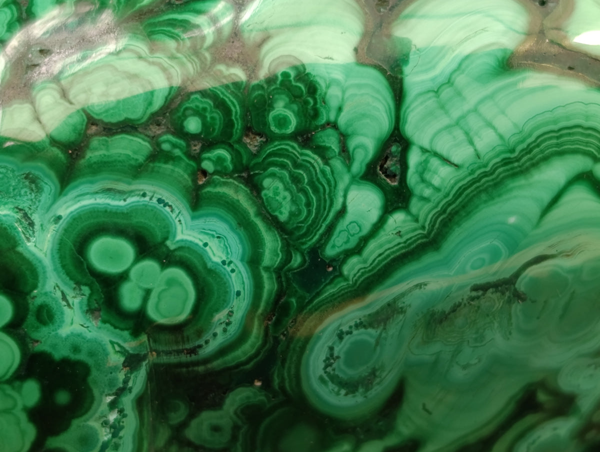 Hand Made Flower Banded Malachite Hippo Carvings x 2 From Congo - Toprock Gemstones and Minerals 