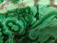 Hand Made Flower Banded Malachite Hippo Carvings x 2 From Congo