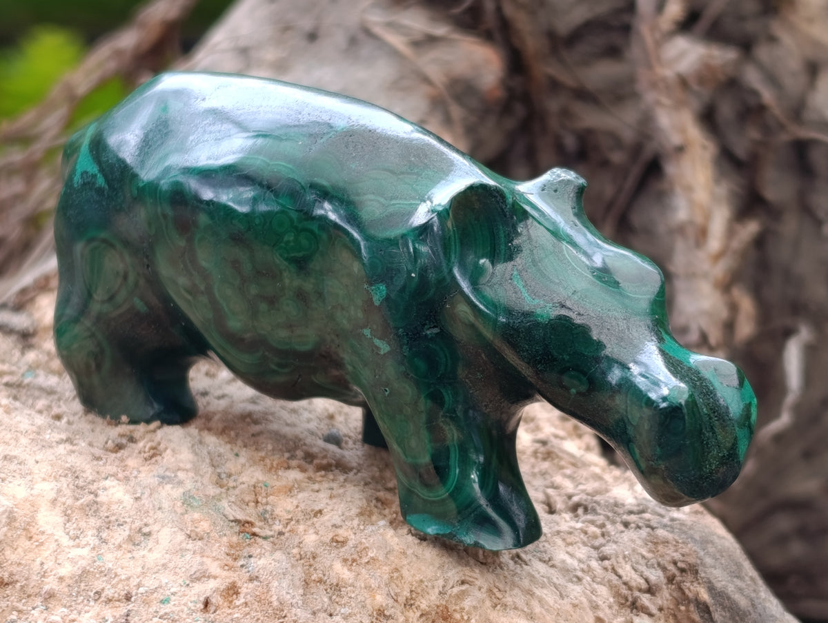 Hand Made Flower Banded Malachite Hippo Carvings x 2 From Congo - Toprock Gemstones and Minerals 