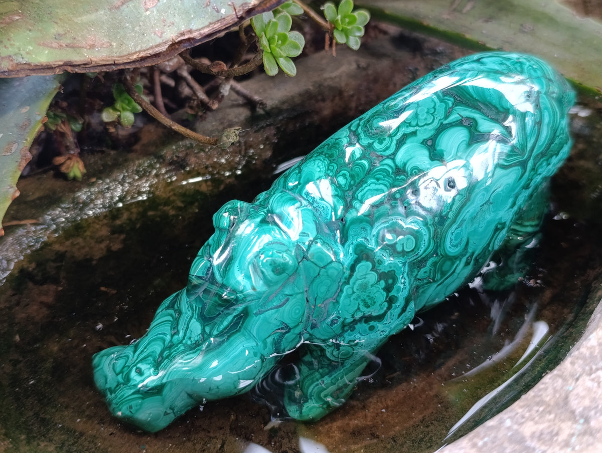 Hand Made Flower Banded Malachite Hippo Carvings x 2 From Congo - Toprock Gemstones and Minerals 