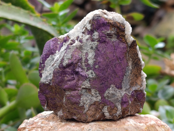 Natural Metallic Purpurite Cobbed Specimens x 6 From Erongo, Namibia