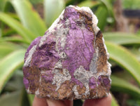 Natural Metallic Purpurite Cobbed Specimens x 6 From Erongo, Namibia