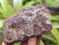 Natural Metallic Purpurite Cobbed Specimens x 6 From Erongo, Namibia