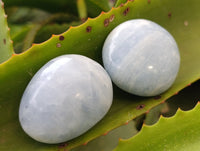 Polished Blue Calcite Palm Stones x 24 From Ihadilalana, Madagascar