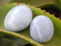 Polished Blue Calcite Palm Stones x 24 From Ihadilalana, Madagascar
