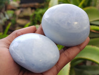Polished Blue Calcite Palm Stones x 24 From Ihadilalana, Madagascar