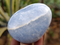 Polished Blue Calcite Palm Stones x 24 From Ihadilalana, Madagascar