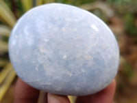 Polished Blue Calcite Palm Stones x 24 From Ihadilalana, Madagascar