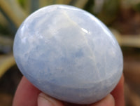 Polished Blue Calcite Palm Stones x 24 From Ihadilalana, Madagascar