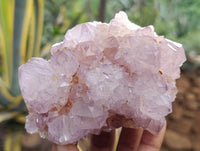 Natural Dark Amethyst Spirit Quartz Clusters x 4 From Boekenhouthoek, South Africa