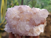 Natural Dark Amethyst Spirit Quartz Clusters x 4 From Boekenhouthoek, South Africa