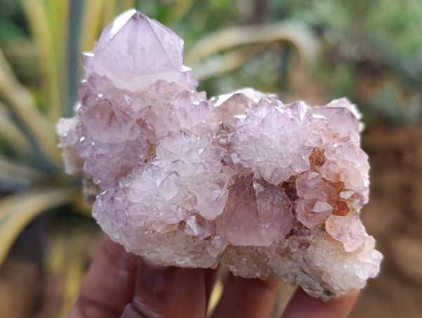 Natural Dark Amethyst Spirit Quartz Clusters x 4 From Boekenhouthoek, South Africa