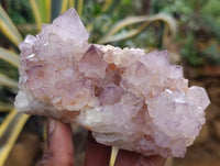 Natural Dark Amethyst Spirit Quartz Clusters x 4 From Boekenhouthoek, South Africa