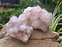Natural Dark Amethyst Spirit Quartz Clusters x 4 From Boekenhouthoek, South Africa