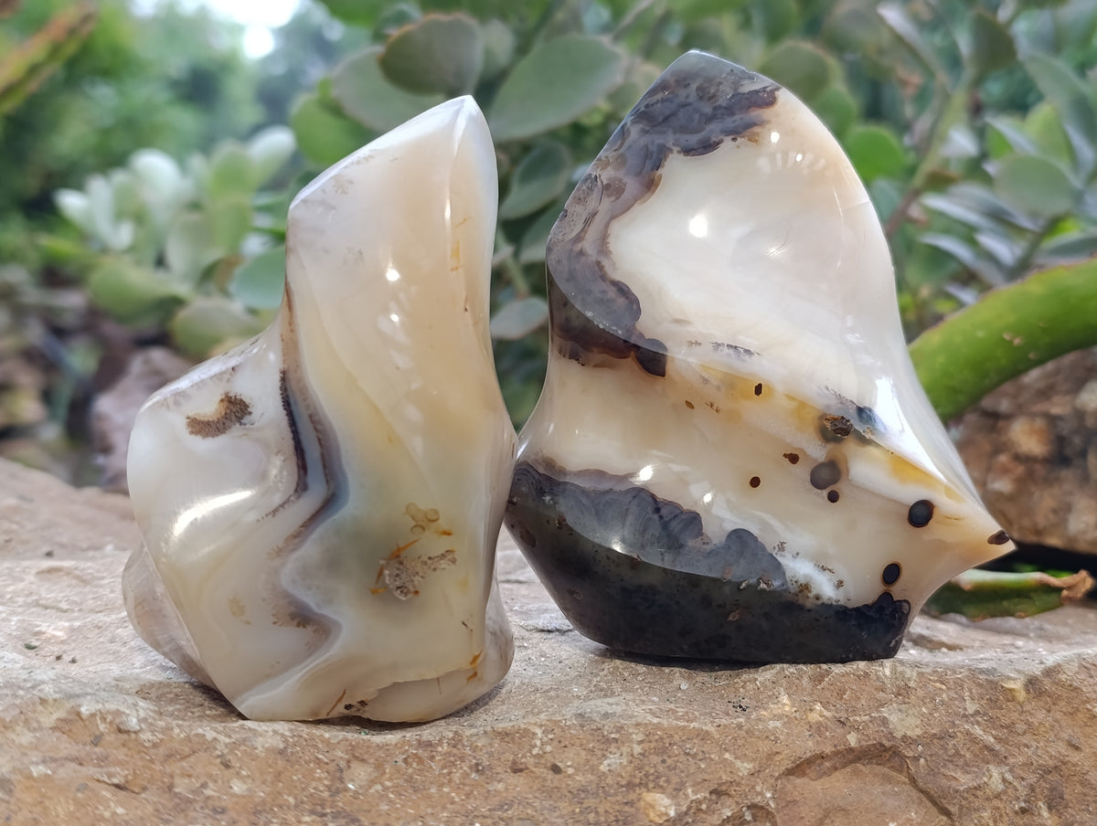 Polished Banded and Dendritic Agate Flames x 6 From Madagascar - Toprock Gemstones and Minerals 