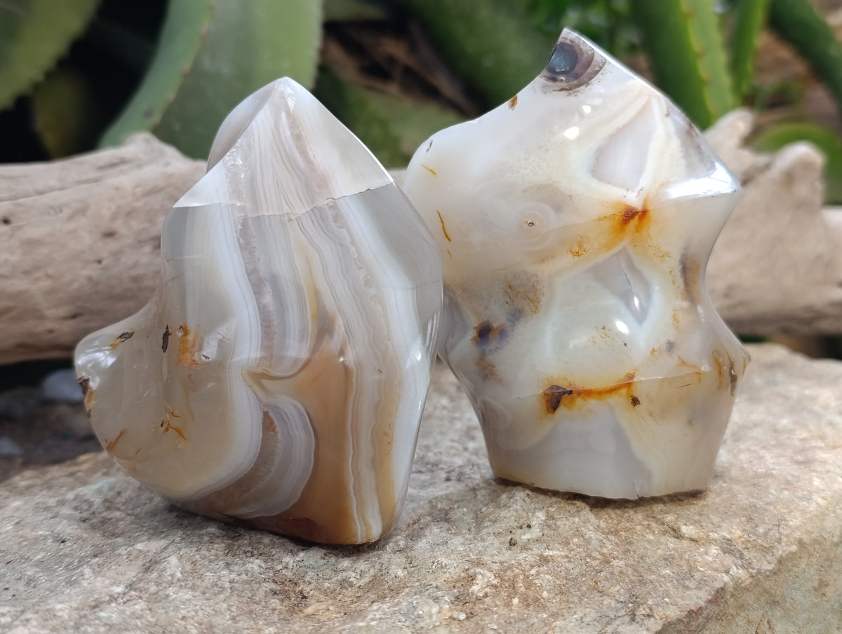 Polished Banded and Dendritic Agate Flames x 6 From Madagascar - Toprock Gemstones and Minerals 