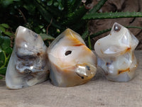 Polished Banded and Dendritic Agate Flames x 6 From Madagascar