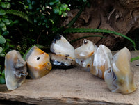 Polished Banded and Dendritic Agate Flames x 6 From Madagascar