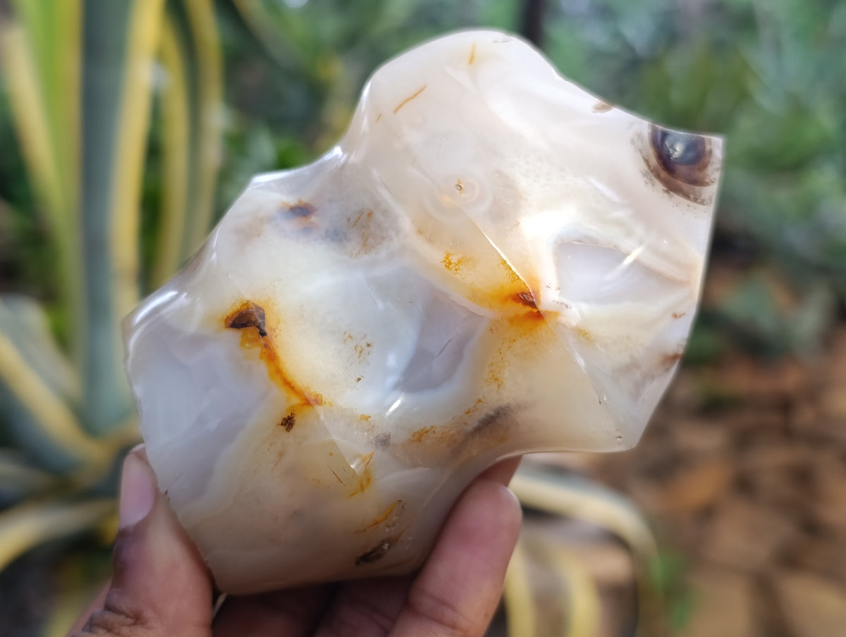 Polished Banded and Dendritic Agate Flames x 6 From Madagascar - Toprock Gemstones and Minerals 