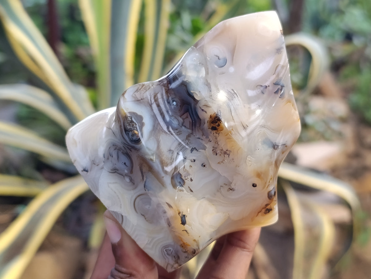 Polished Banded and Dendritic Agate Flames x 6 From Madagascar - Toprock Gemstones and Minerals 