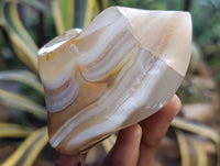 Polished Banded and Dendritic Agate Flames x 6 From Madagascar