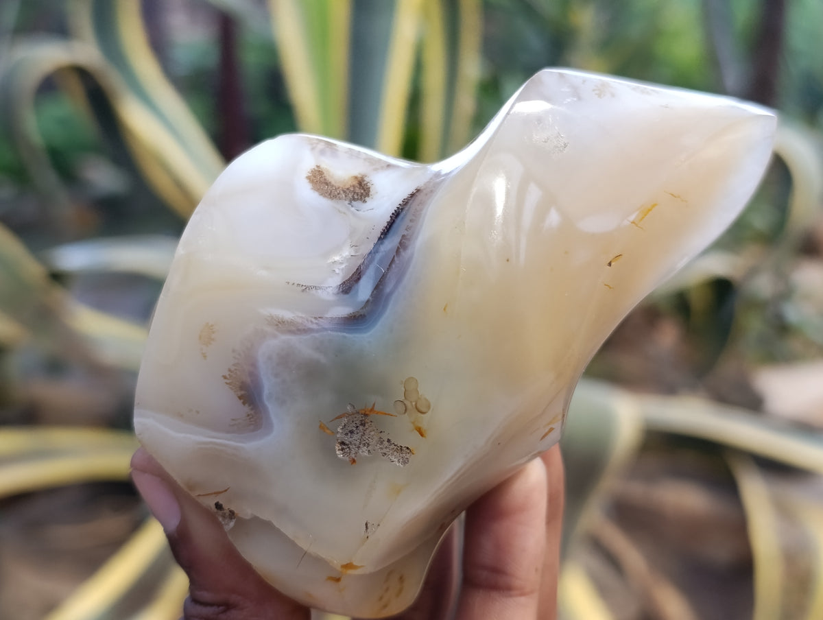 Polished Banded and Dendritic Agate Flames x 6 From Madagascar - Toprock Gemstones and Minerals 