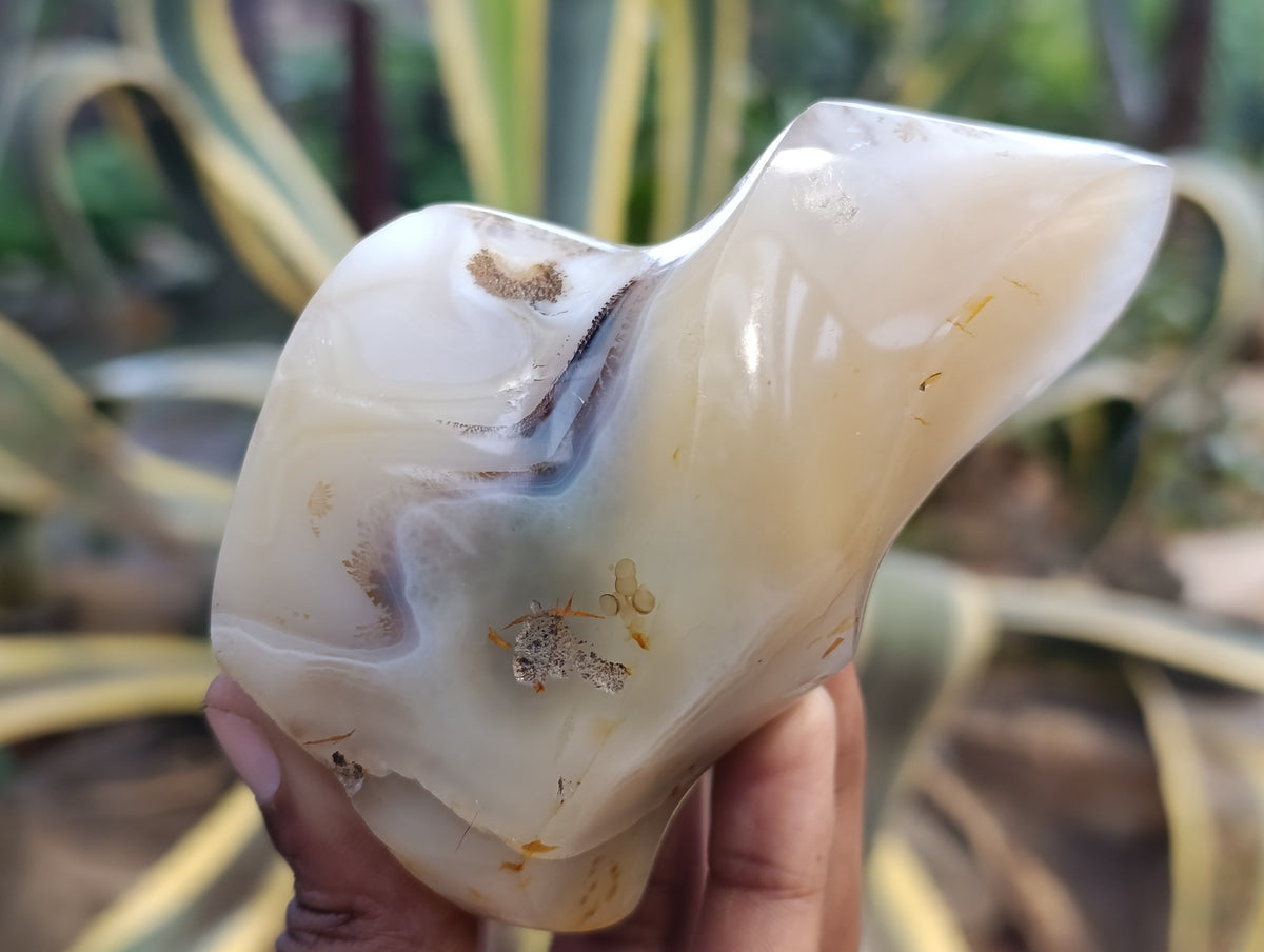 Polished Banded and Dendritic Agate Flames x 6 From Madagascar - Toprock Gemstones and Minerals 