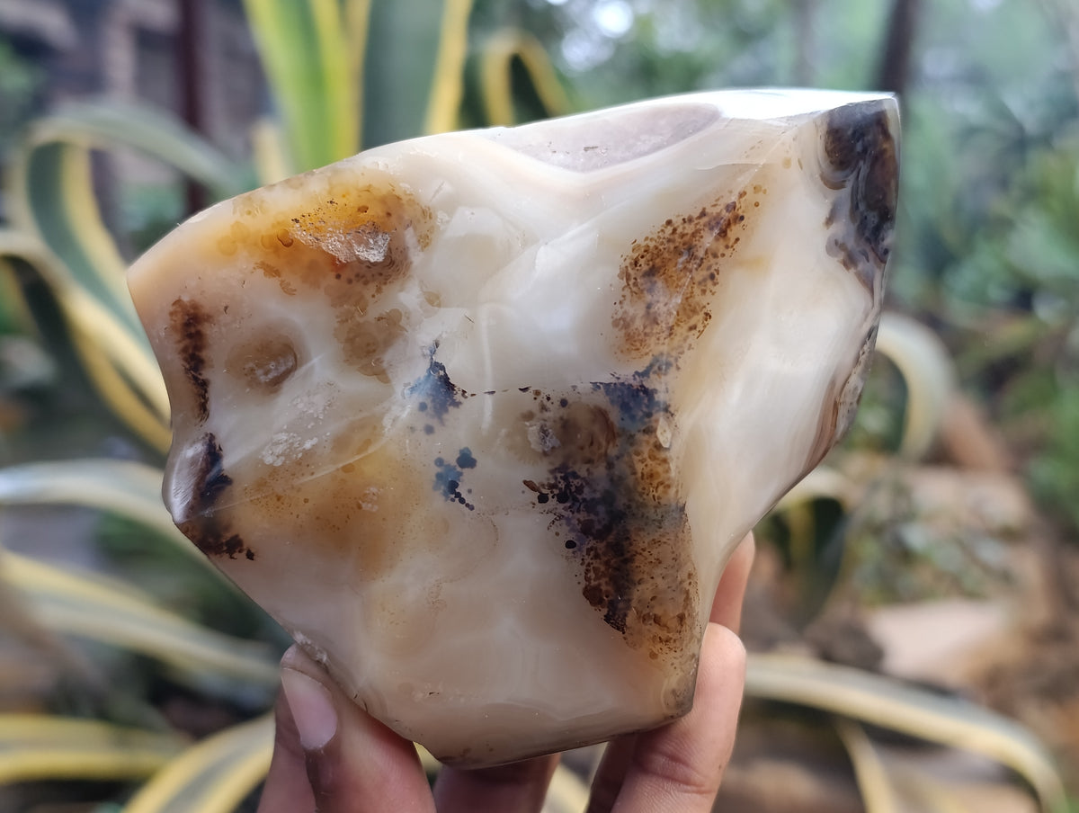 Polished Banded and Dendritic Agate Flames x 6 From Madagascar - Toprock Gemstones and Minerals 