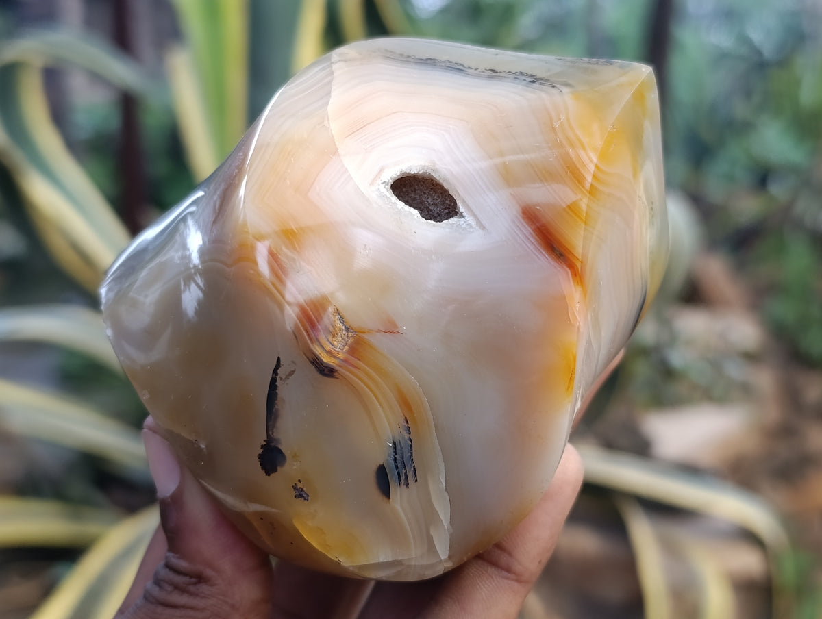 Polished Banded and Dendritic Agate Flames x 6 From Madagascar - Toprock Gemstones and Minerals 
